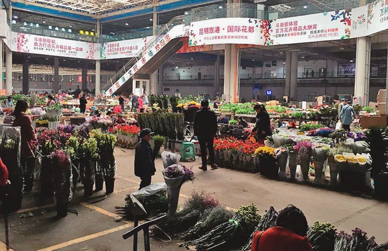 花呗商家提现多久到账