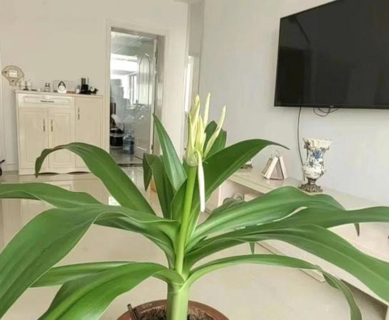 拿去花套现商家微信 套现违法吗