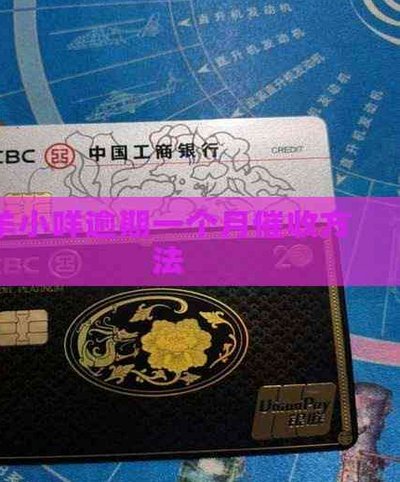 羊小咩二次分期协商全攻略