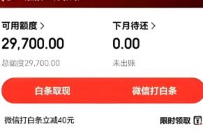 白条取现遇卡顿，最终能到账吗？