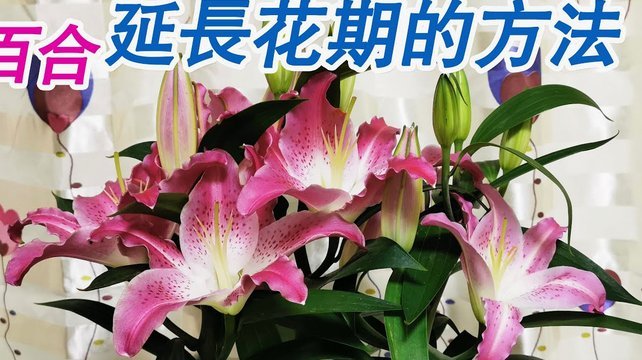 花呗提现困境：当商家码失效，风险如何规避？