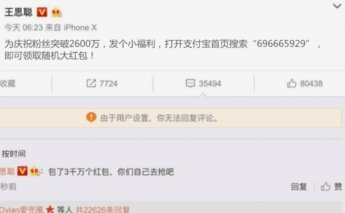 白条用途全解析：如何安全合理地使用花呗资金？