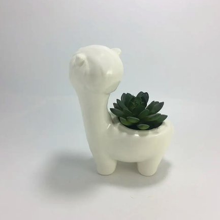 羊小咩花卡：消费变现金