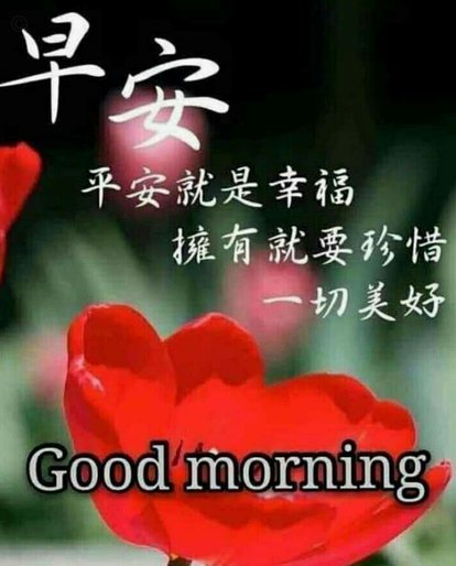 套现花呗上征信吗