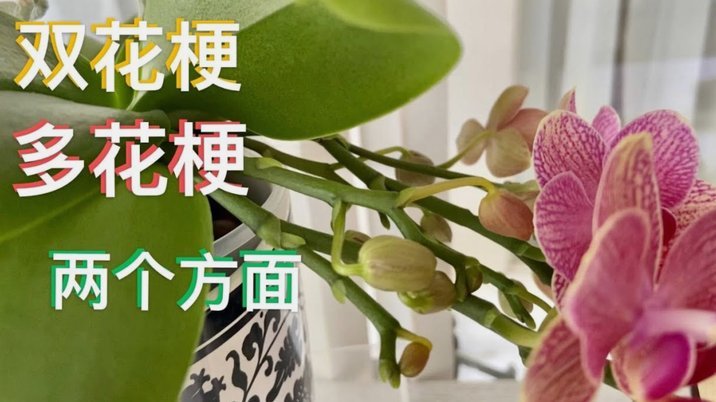 花呗转出来的钱有可能是黑钱吗
