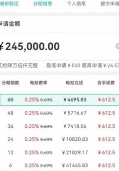分期乐有额度怎么套