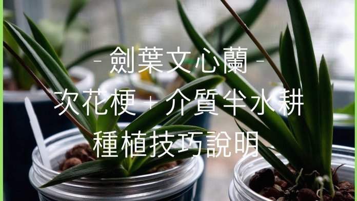 花呗套现深度解析：运作原理、风险警示与监管红线