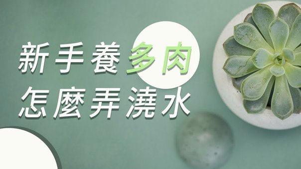 拿去花小额快速自套