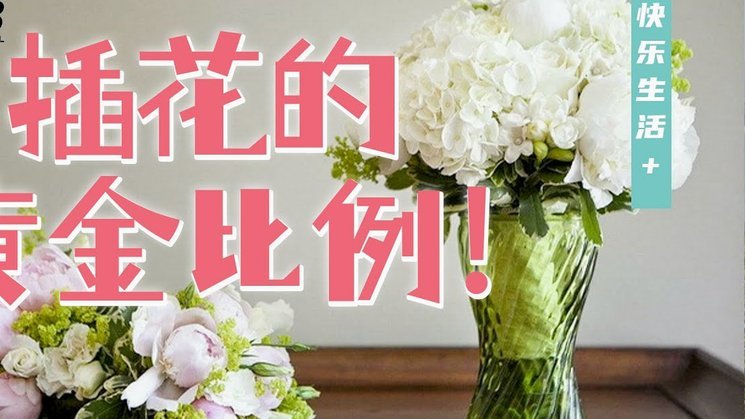 去哪儿拿去花是什么