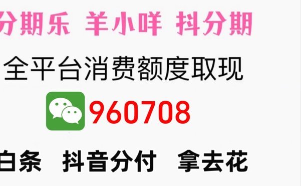 羊小咩怎么出额度cy安诚小铺ng助富掌柜