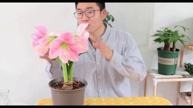 拿去花怎么套出来操作方法视频