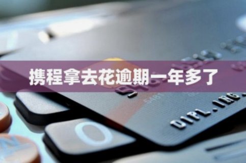携程“拿去花”还款指南