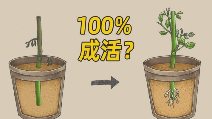 巧用信贷额度实现资金灵活周转策略