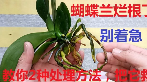 拿去花额度换现方法