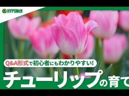 拿去花额度换现方法