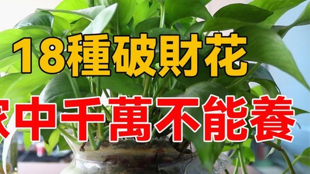 花呗额度如何提升？合法技巧都在这儿