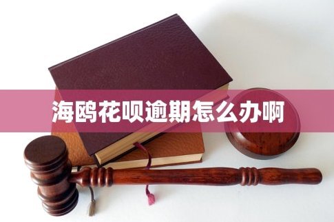 海鸥花呗平台：现在的它还能用吗？深度回顾与真相