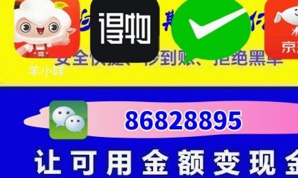 羊小咩1000额度如何高效利用