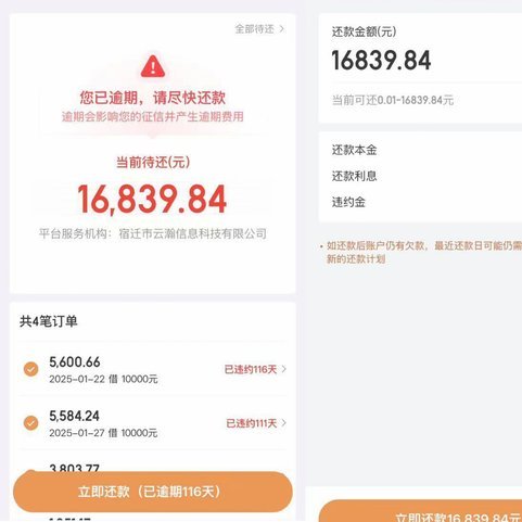 如何合法利用京东白条优化财务？