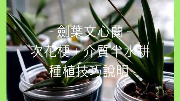 携程拿去花怎么关闭