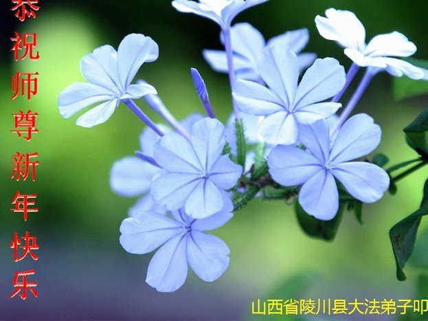 套现花呗到底怎么玩？深度拆解背后的金融逻辑与陷阱