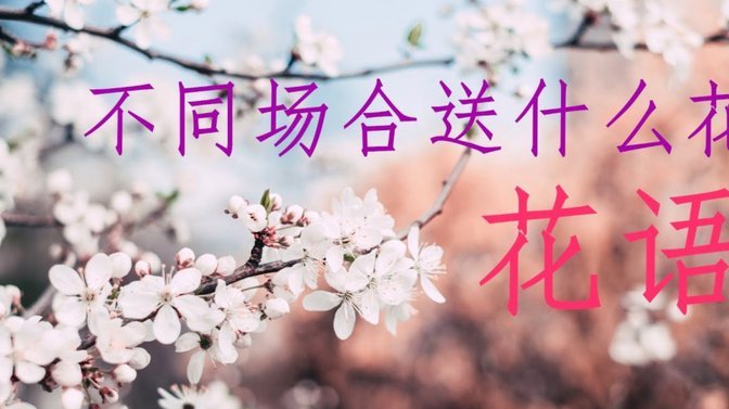 花呗助手：如何为他人解决短期财务难题