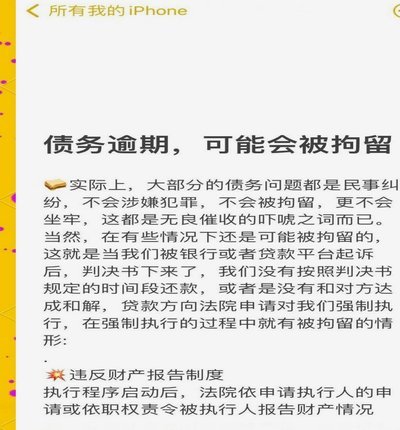 羊小咩借款逾期的法律后果