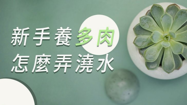 得物提现多久？ 看看这答案