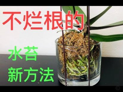 携程积分兑换实用指南