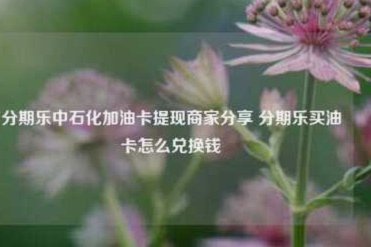 分期乐提现：流程、限额与注意事项