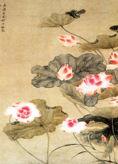 花呗无法直接提现，认清借贷本质与风险