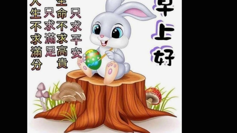羊小咩逾期一个月,有问题吗