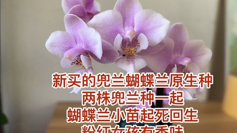 携程拿去花额度怎么提？
