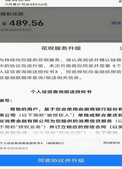 花呗套几百是否会被风控系统发现？深度揭秘背后的算法逻辑