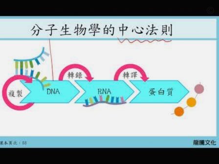 得物佳物分期变现：掌握市场情绪与价值时间差策略