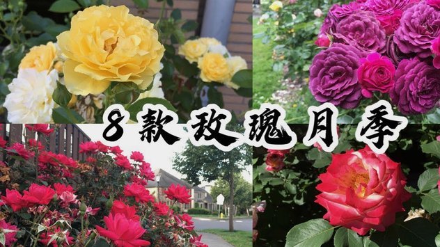 花呗月月付套现方法揭秘