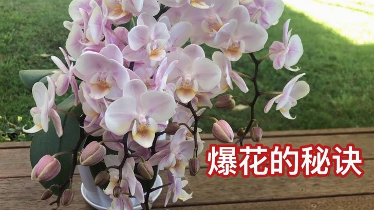 花呗套线开通全攻略：流程、技巧及风险详解