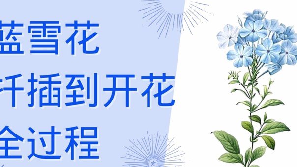 规避风险：提前偿清“拿去花”贷款，需要知道什么？