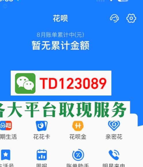 那个平台可以套花呗