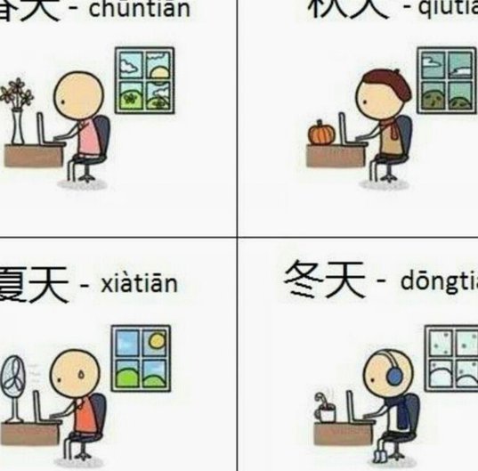 得物分期额度怎么用