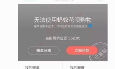 天猫购物花呗支付后为何当时不能还