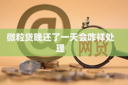 微粒贷分期：如何提前还款更灵活？