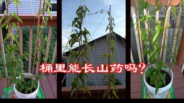携程里面拿去花怎么用