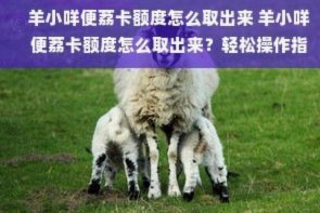 羊小咩额度怎么取出来