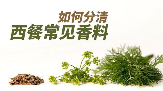 白条额度怎么用？掌握这些技巧更高效